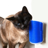 Massageador com Catnip para Gatos