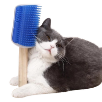 Massageador com Catnip para Gatos