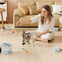 Brinquedo Circuito Dinâmico Elétrico para Gatos