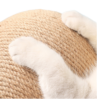 Arranhador Bola para Gatos