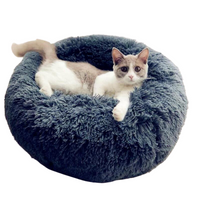 Caminha Nuvem para Pets