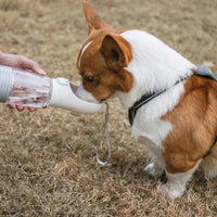 Água Pet - Garrafa de Água Para Cães e Gatos