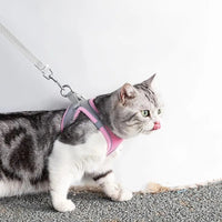 Peitoral Ajustável com Guia para Gatos