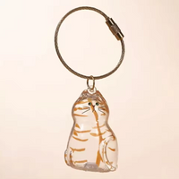 Chaveiro de Acrílico para Pelos de Gatos