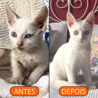 Escova Inteligente 5 em 1 — Controle Total dos Pelos na Sua Casa