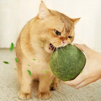 Bola de Catnip Gigante para Gatos