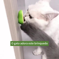 Abacate De Brinquedo Para Gatos Com Catnip