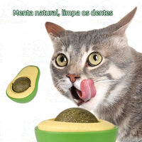 Abacate De Brinquedo Para Gatos Com Catnip