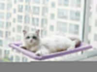 Cama Rede de Janela para Gatos