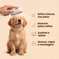 Escova Mágica a Vapor PetCare