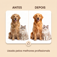 Escova Mágica a Vapor PetCare