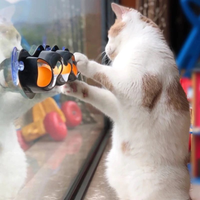 Brinquedo Pista de Bolinhas com Ventosas para Gatos
