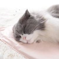 Tapete Aquecedor para Gatos
