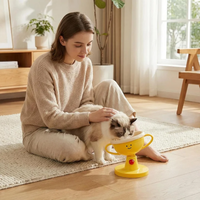 Tigela Inclinável de Cerâmica para Gatos